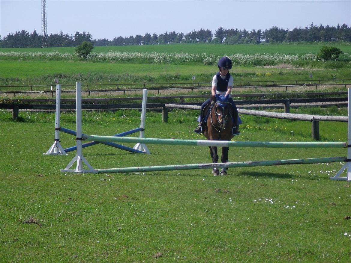 New Forest Milton - Spring - 28 maj 2012. billede 4