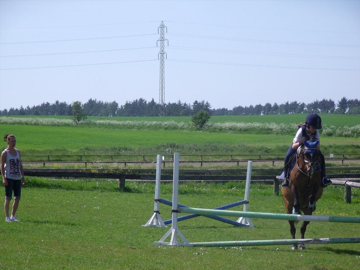 New Forest Milton - Spring - 28 maj 2012. billede 5