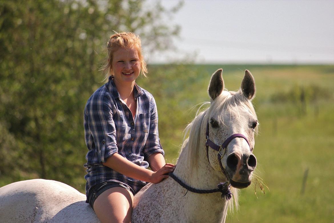 Arabisk fuldblod (OX) [ Isan ] <3 - Mie og Isan <3

Fotograf: Mig billede 20