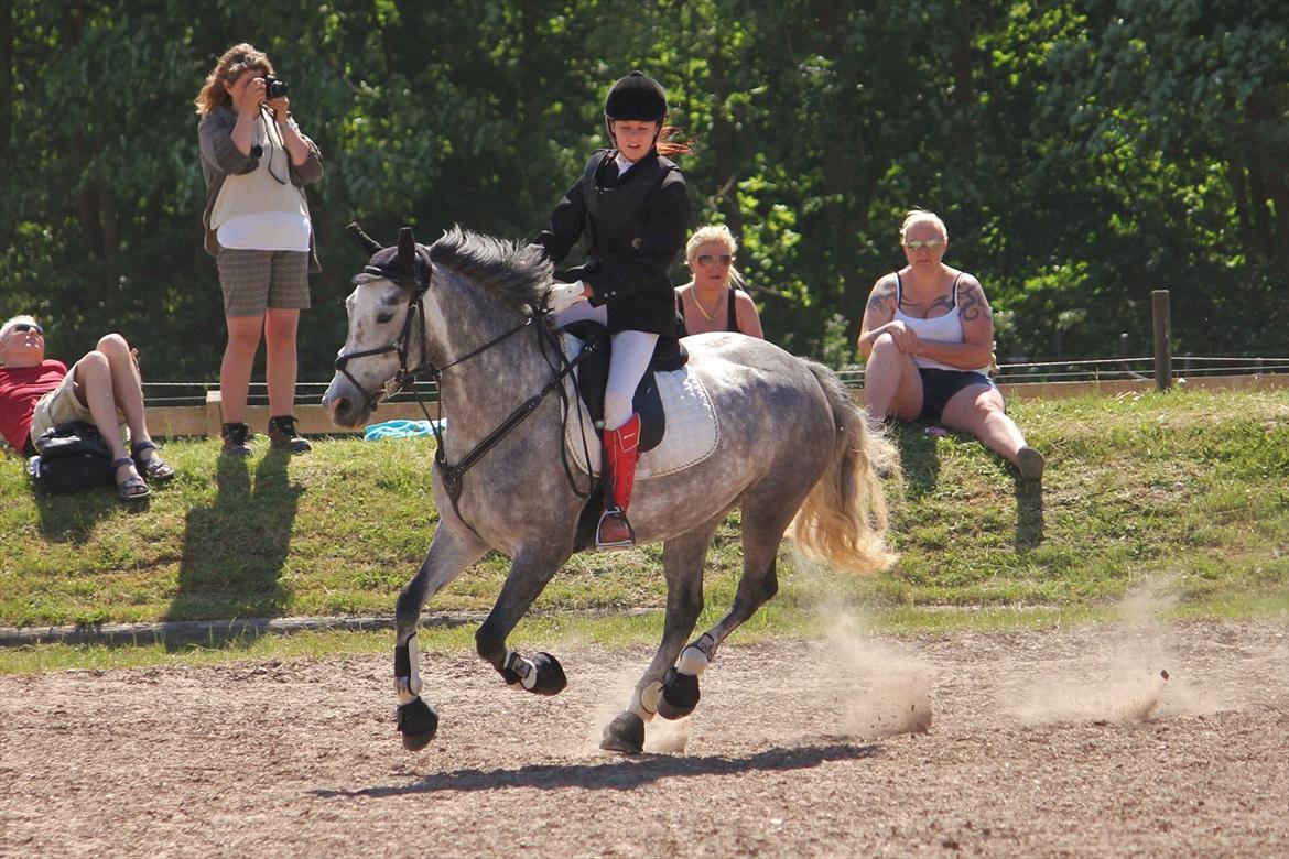 Anden særlig race [ Maybeline ] :-* - Fotograf: Mie Busk Vedel billede 19