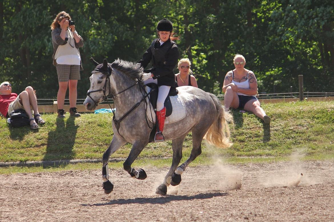 Anden særlig race [ Maybeline ] :-* - Fotograf: Mie Busk Vedel billede 19