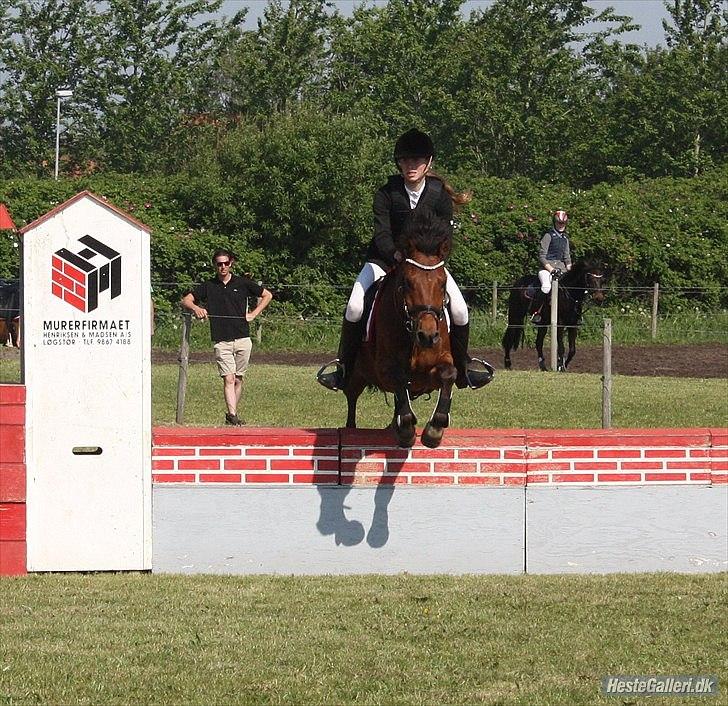 New Forest Filur B-pony - skatten i en LA** puljespring ;*

foto: Clarissa billede 10