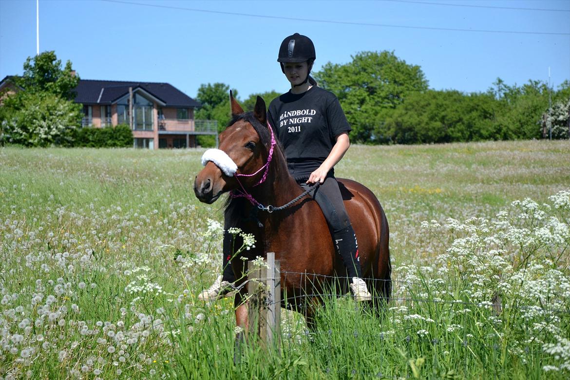 Anden særlig race TASJA - Søde Tasja. 
 28 maj 2012.  billede 2