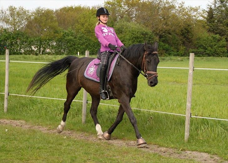 Anden særlig race Sokky - En lille øgning <3 billede 3