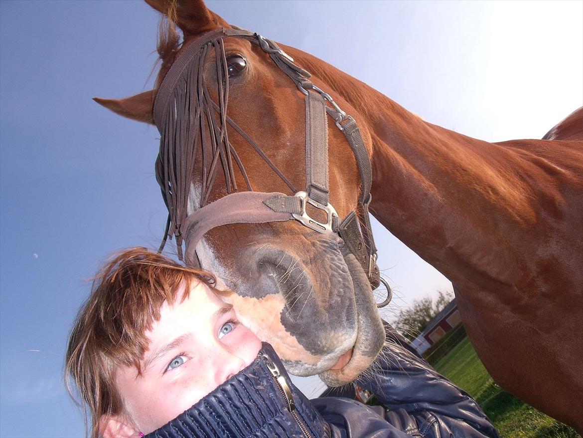 Oldenborg Bøgelys Dixi - Mig og Dixi:-)<3 billede 11