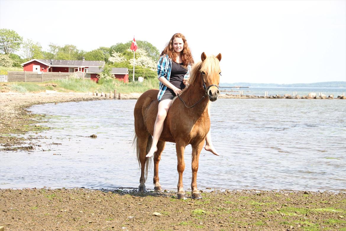 Islænder Emma - Mig og emma billede 2