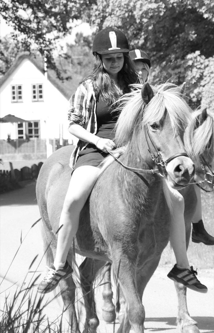 Islænder Emma - You and me!! :i billede 1