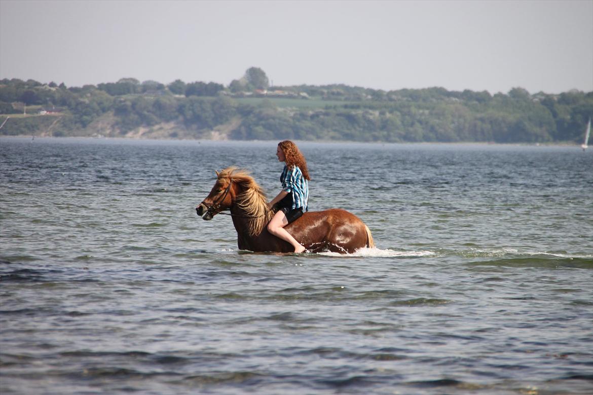 Islænder Emma - VIDUNDERLIGE DIG!!<3 billede 10