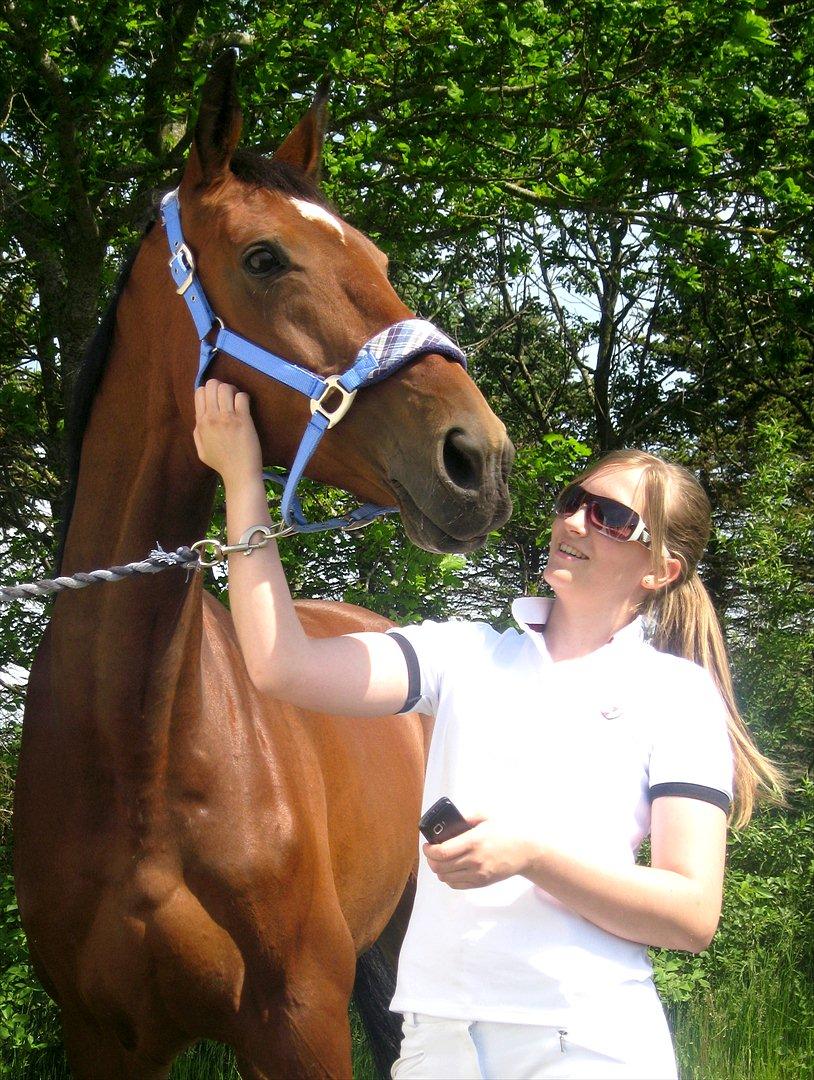 Dansk Varmblod HÉKATE - Stævnehygge til Løgstør distriktstævne 2012. Dejlige tøs <3 Foto: Mutti billede 10