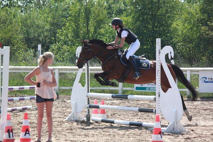 Anden særlig race Bianca - LC - 0 fejl - 1 plads :) billede 7