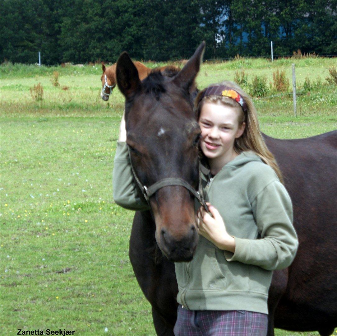Anden særlig race Busse - Fotograf: Zanetta Seekjær billede 5