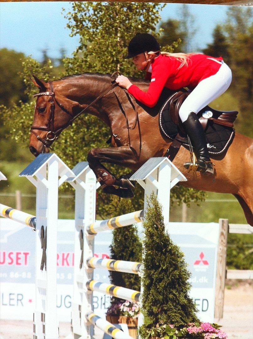 Holstener Quanita - CSI** Fredensborg 2012 billede 8