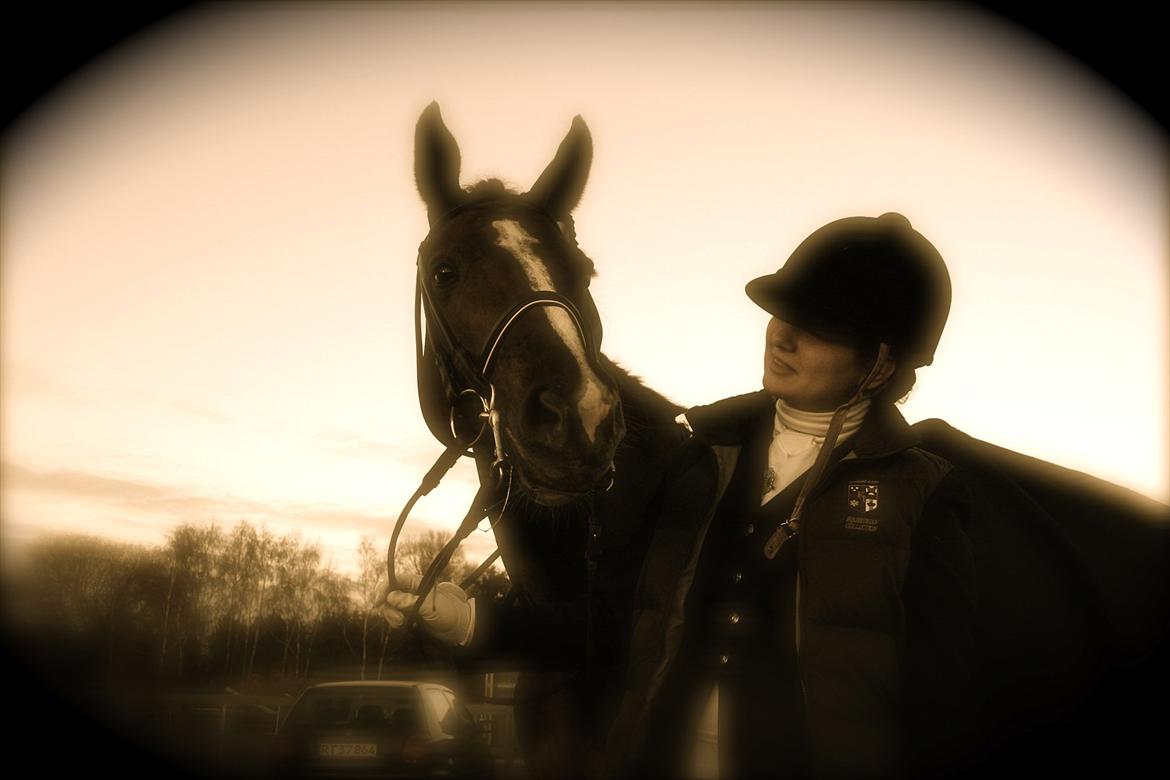 Dansk Varmblod Rønbjergs Altessa - It's always better when we are together <3 billede 2