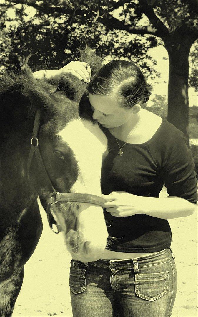 Tinker Lehmanns Ozzie <3  billede 20