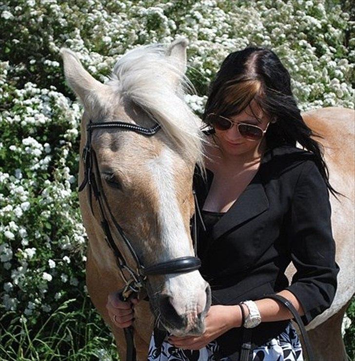 Anden særlig race WILD SECRET. BLINKENDE STJERNE - <3 billede 18