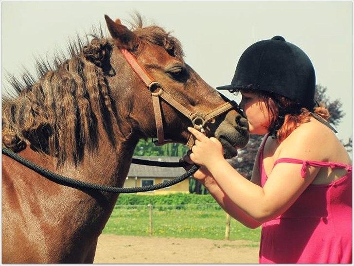 Anden særlig race bella - ægte kærlighed  billede 4