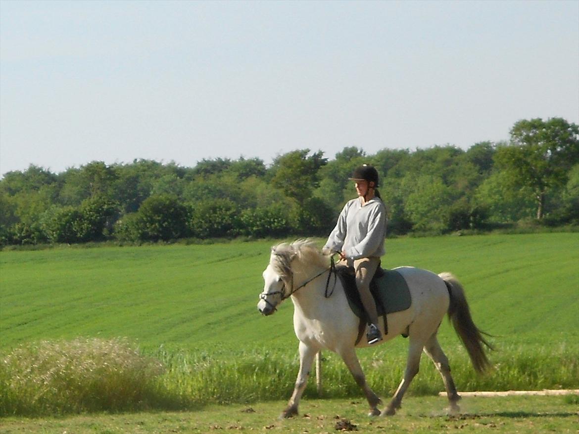 Anden særlig race Lille Ole (solgt) billede 8