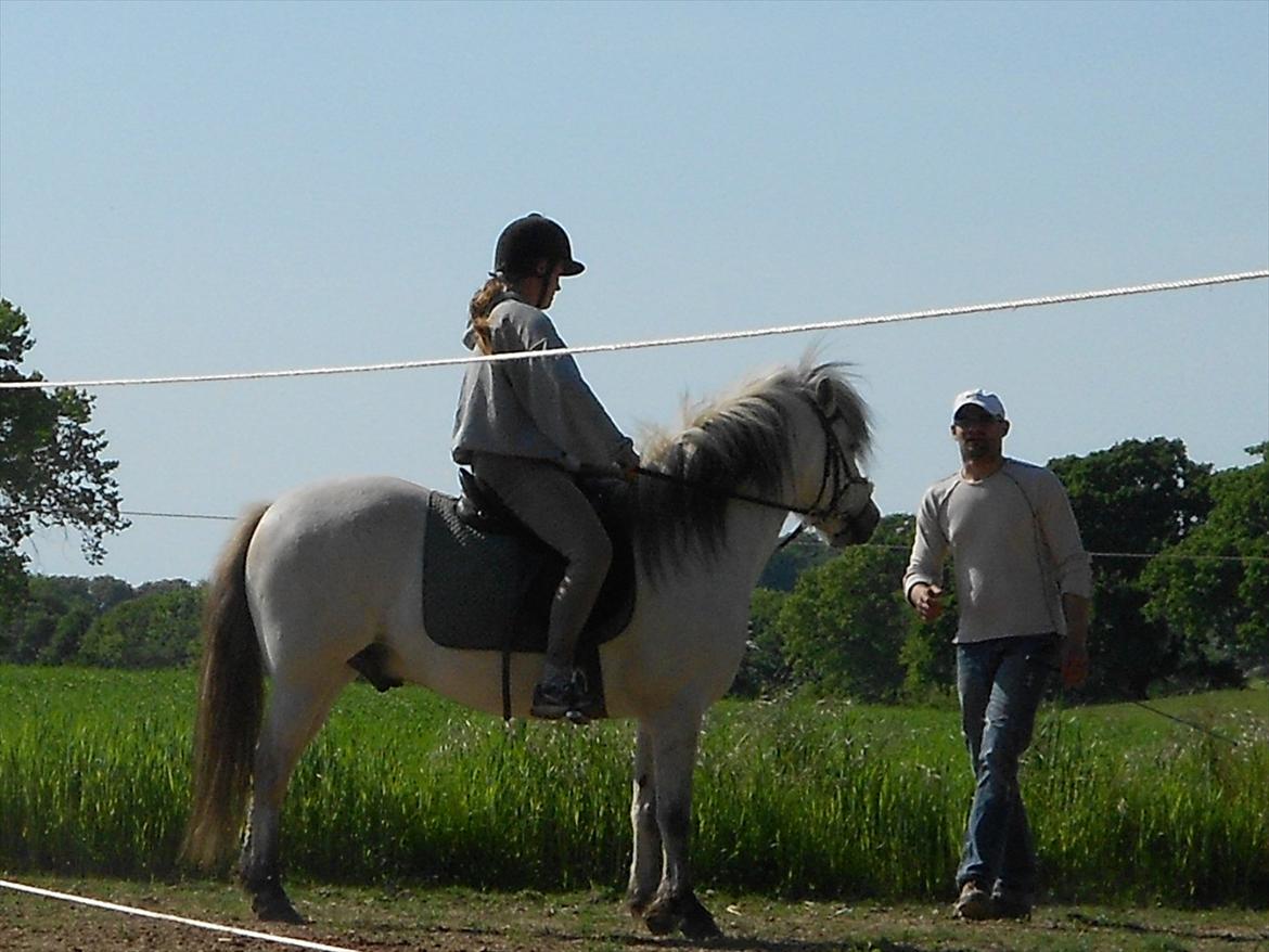 Anden særlig race Lille Ole (solgt) billede 9
