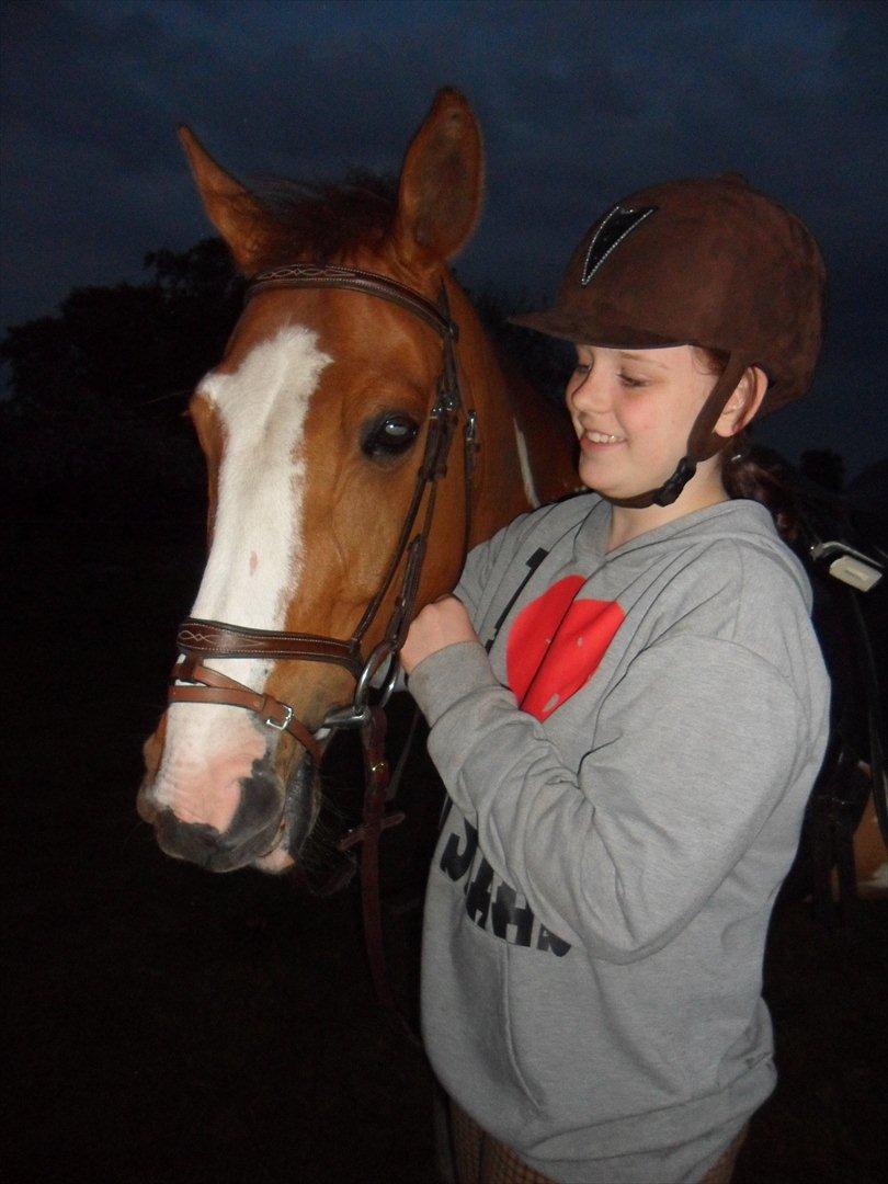 Pinto Sasha billede 25