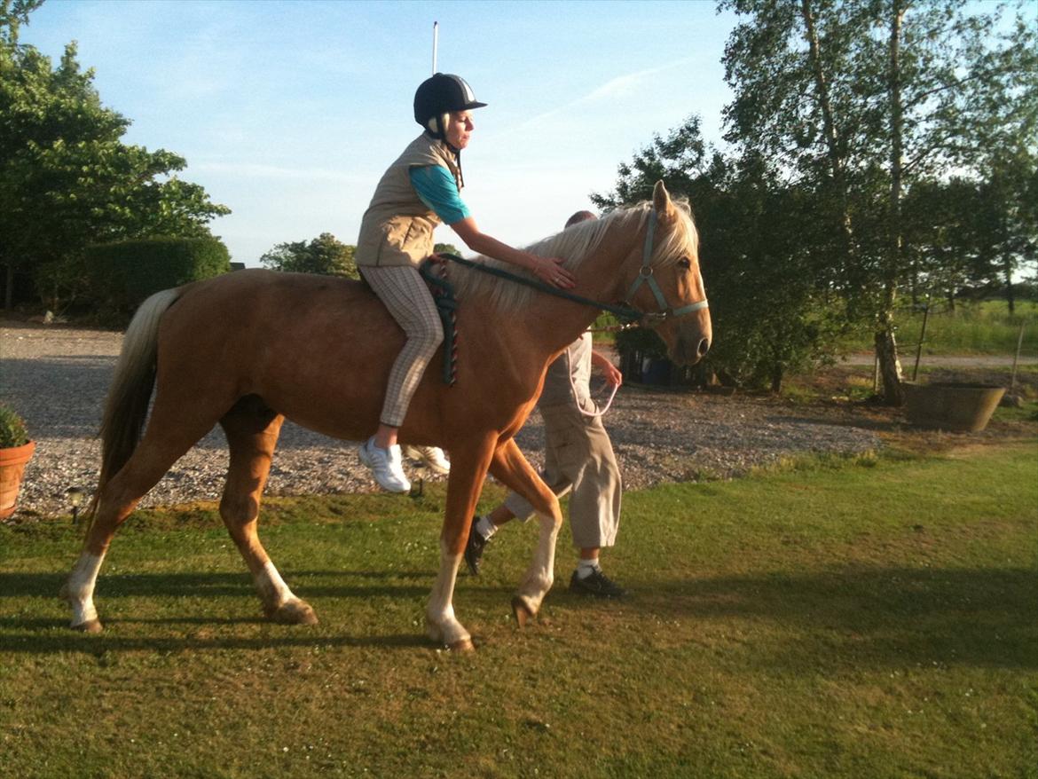 Palomino Ga' Cool Cash - første gang jeg skridter på cash <3 billede 15