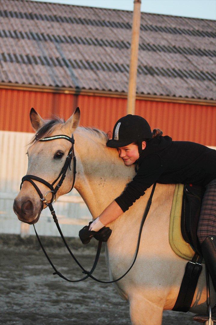 Anden særlig race Wimpie billede 4