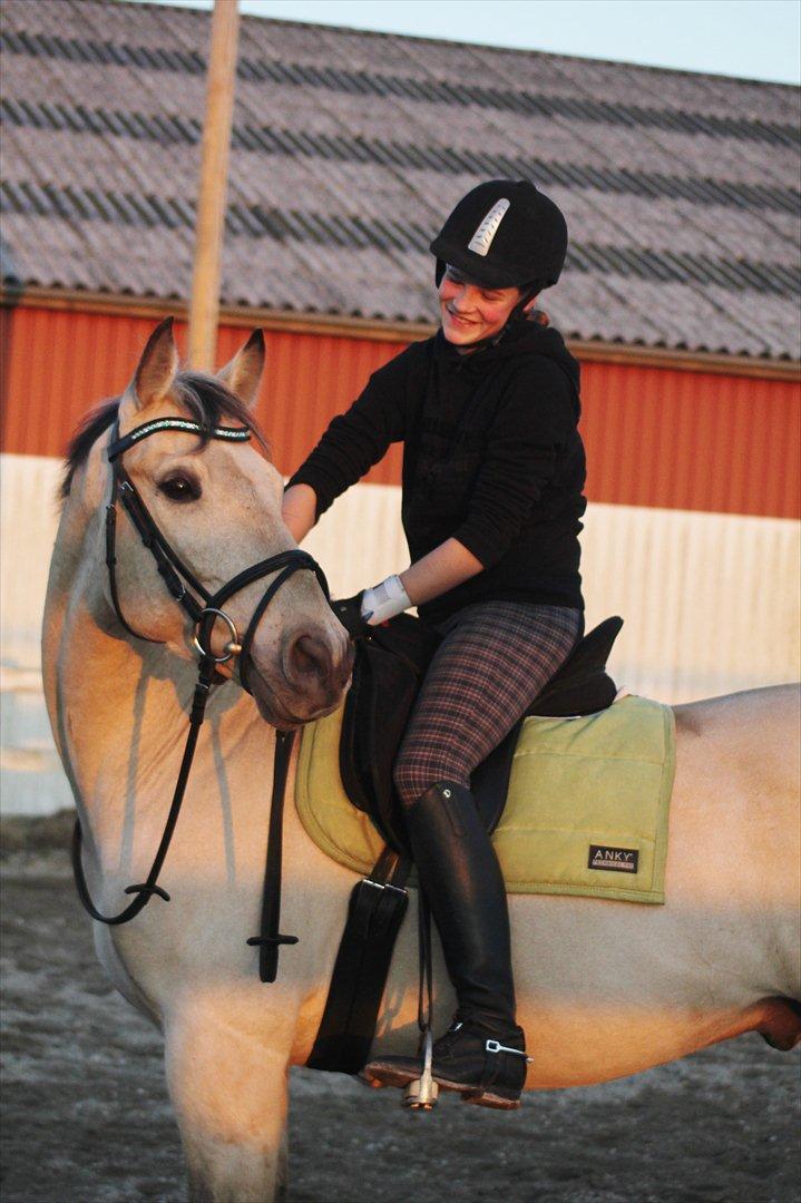 Anden særlig race Wimpie billede 5