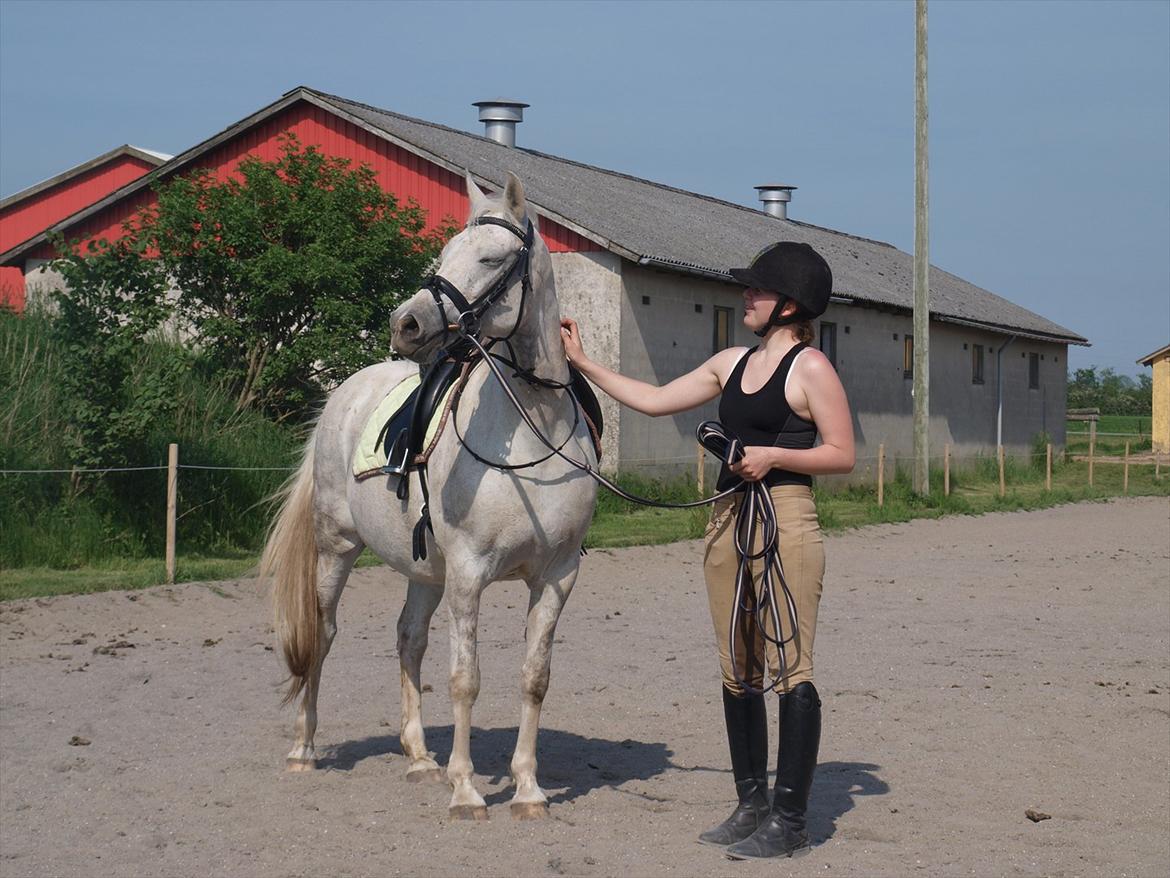 DSP Nørlunds Sally Maree - Tager lige en slapper 26/5 billede 10