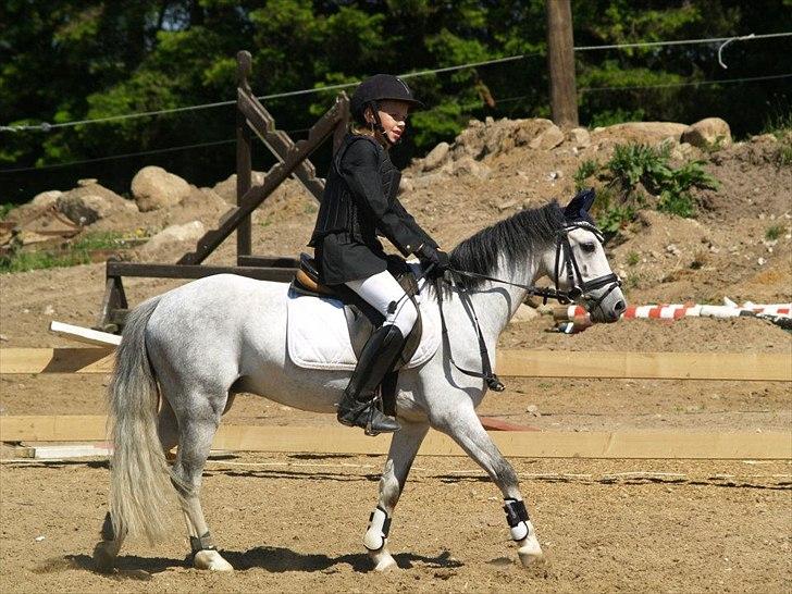 Anden særlig race Vestergårds Filur billede 1