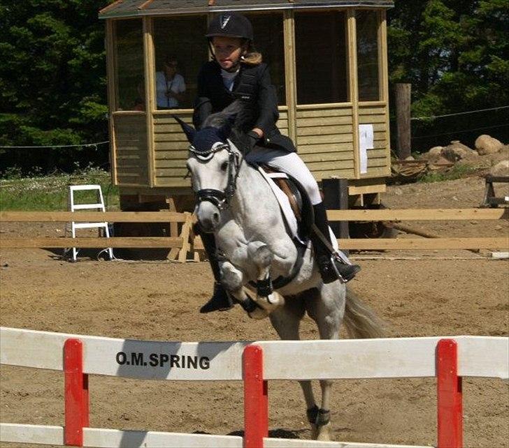 Anden særlig race Vestergårds Filur billede 2