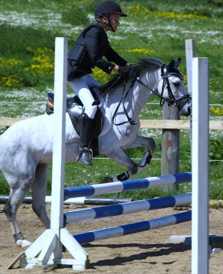 Anden særlig race Vestergårds Filur billede 3