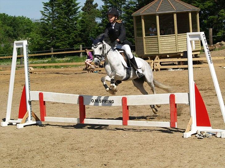 Anden særlig race Vestergårds Filur billede 8