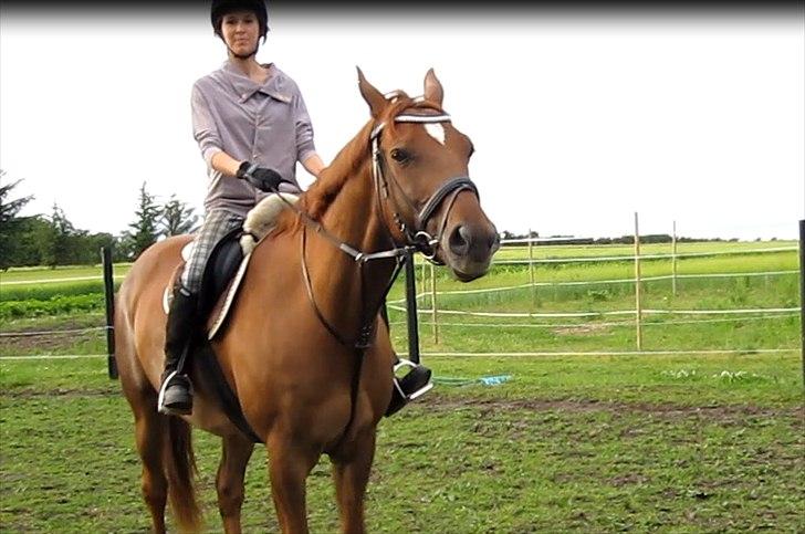 Anden særlig race Thor - Efter lidt hygge spring :o). billede 9