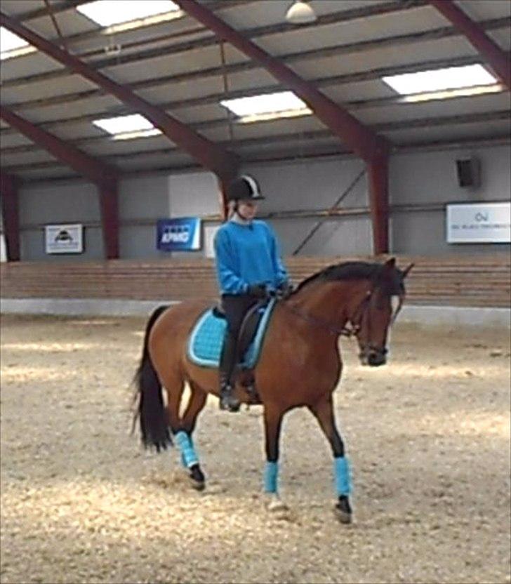 DSP Malou billede 10