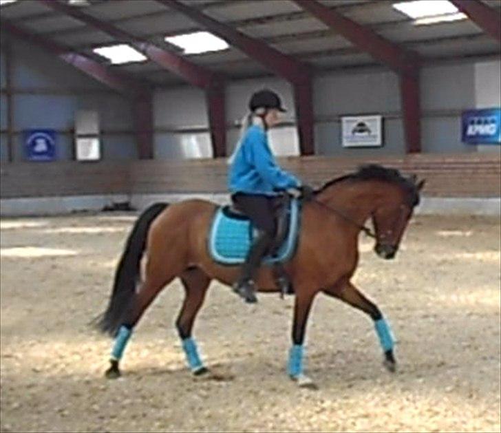 DSP Malou billede 11