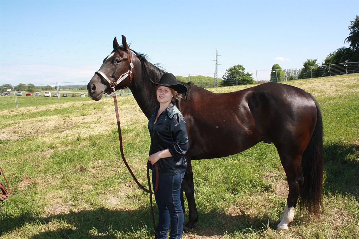 Quarter San Par Vision billede 17