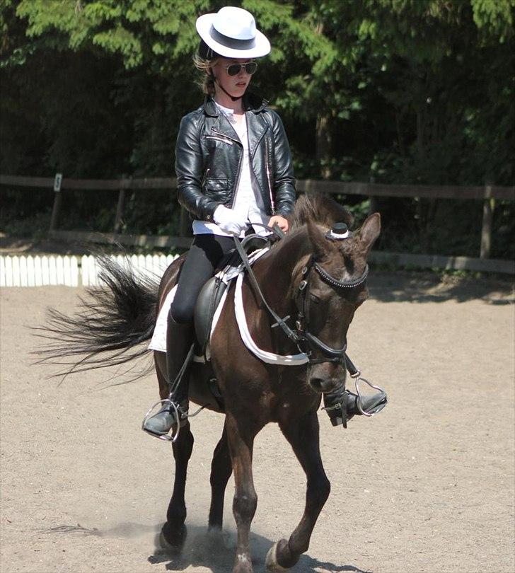 Anden særlig race Malou - Lb kür, klædt ud som MJ :D 3 plads blev det til (: Foto: Simone S billede 13