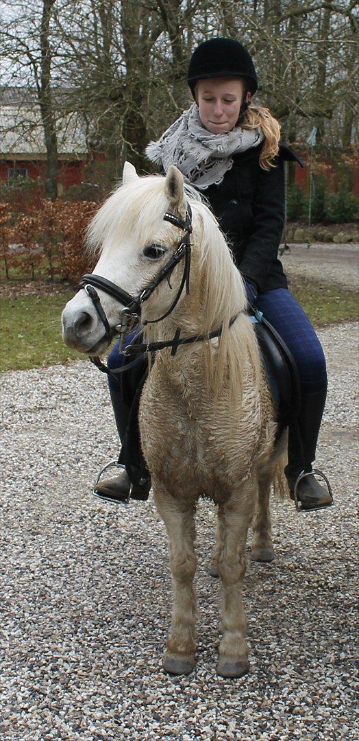 Anden særlig race Prins :* - My Prince, my world.. billede 8