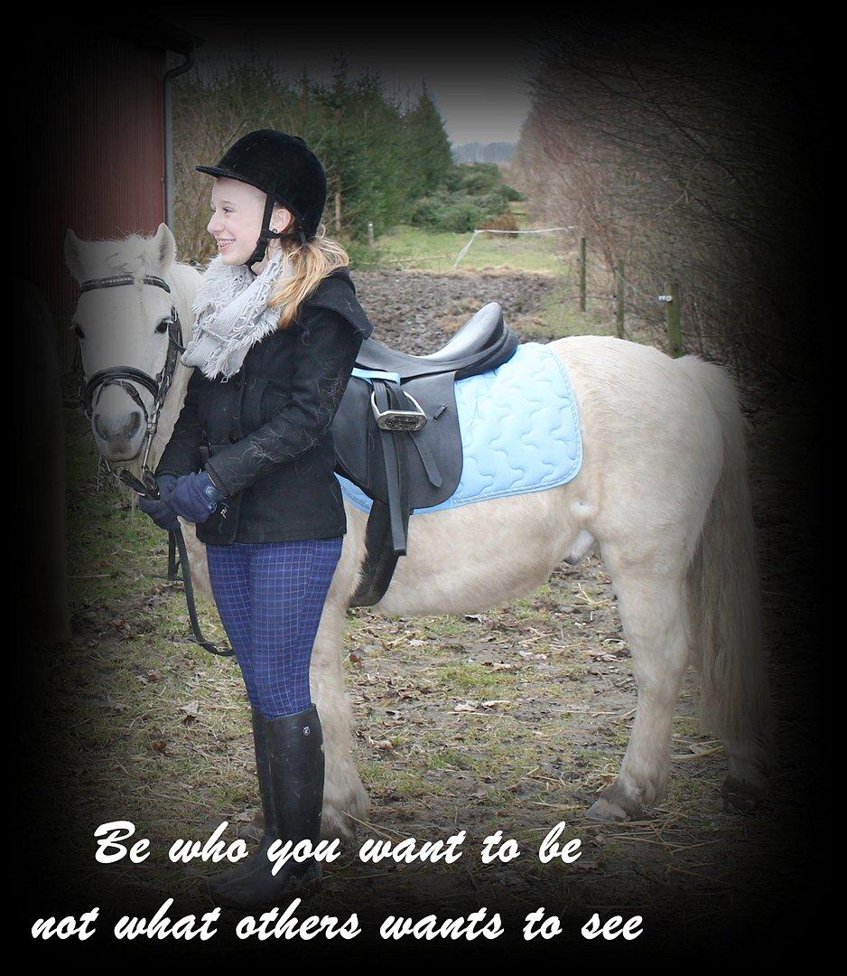 Anden særlig race Prins :* billede 5