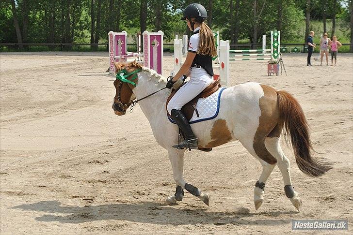 Anden særlig race Tarzan - 4 plads, LB** d. 26/05/2012   
Taget af Emilie Roestorff billede 12