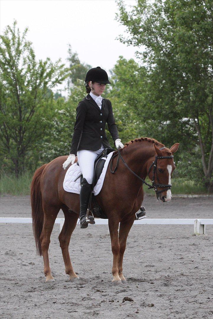 Anden særlig race Ferrari - 12, sidste stævne på min bedste ven.. 26 Maj <3 foto ~ Jette Pedersen. billede 11