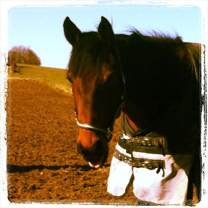 Traver Kenzo - My dream <3 - Smil du på. <3  billede 4