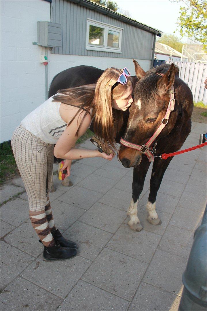 Hollandsk Sportspony Mistery Girl - mig og min tøs<3 billede 13