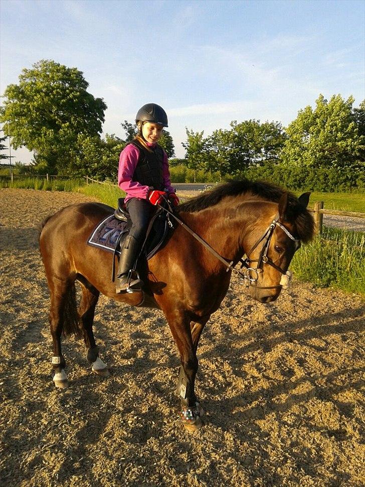 Anden særlig race Carino - Første ridetur på prinsen som ejer af ham <3 billede 1