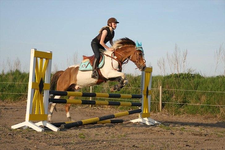 Anden særlig race Prins Engholm - "SOLGT:(" billede 5