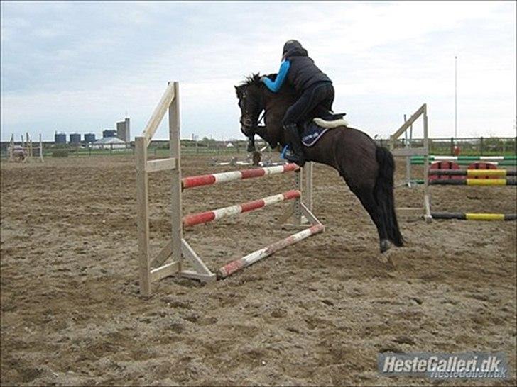 Anden særlig race Carino - tideligere ejer på Carino <3 billede 5