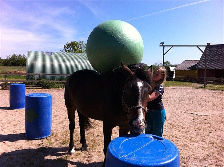 Oldenborg Monique - Bold på ryggen. Mmm.... tønder... billede 2