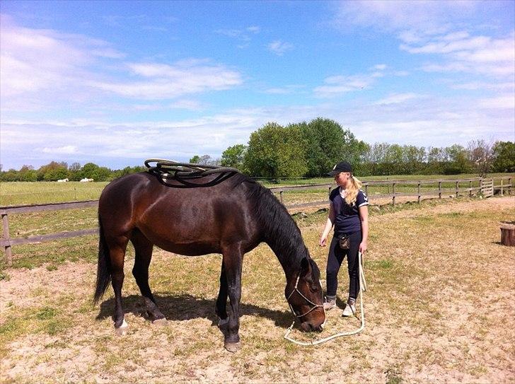 Oldenborg Monique - Cykeldæk på ryggen :) :) billede 6