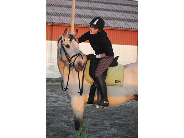 {{currentPhoto.altText}} billede {{currentPhoto.number}}