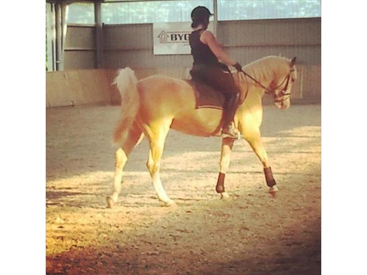 {{currentPhoto.altText}} billede {{currentPhoto.number}}