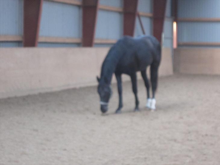 {{currentPhoto.altText}} billede {{currentPhoto.number}}